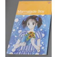 Marmalade Boy 8